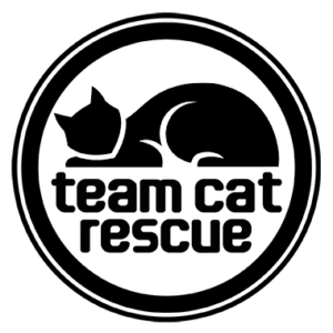 Team CAT Rescue