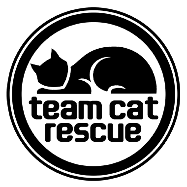 Team Cat Rescue