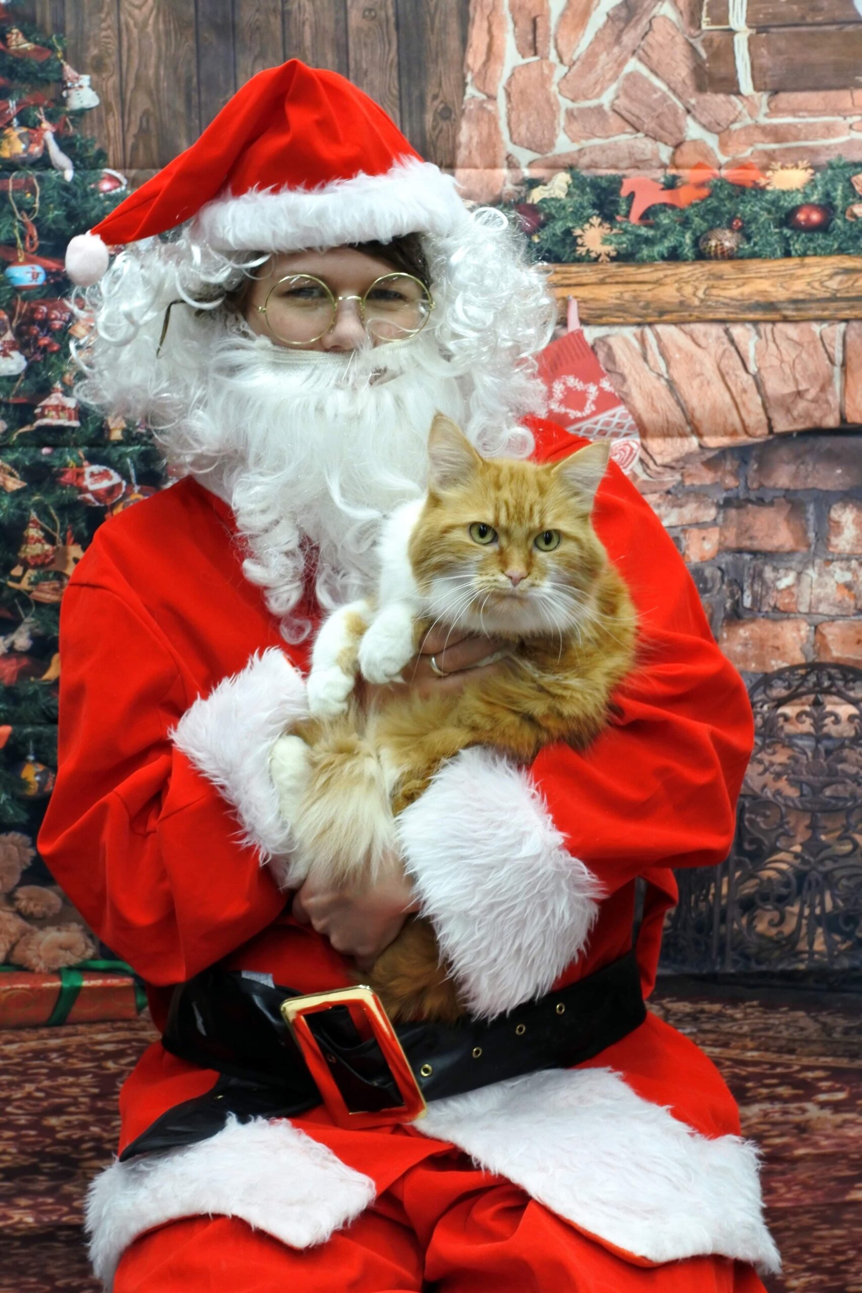 cinnabon santa