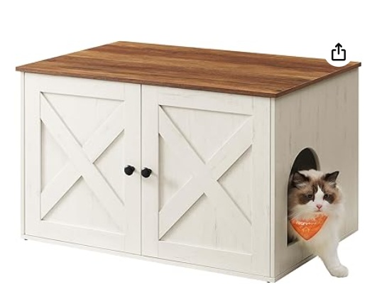 litter box