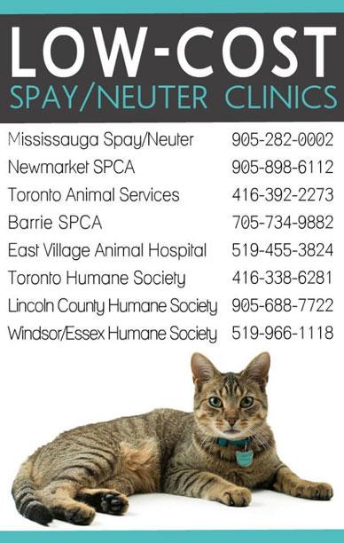 low-cost-spay-neuter-clinic
