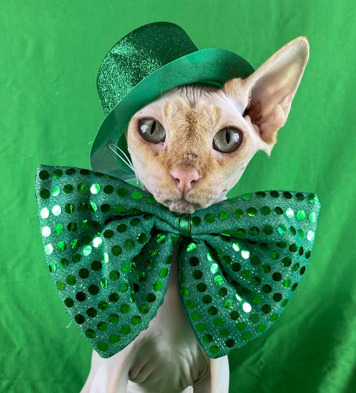 magic mike st catrick 2