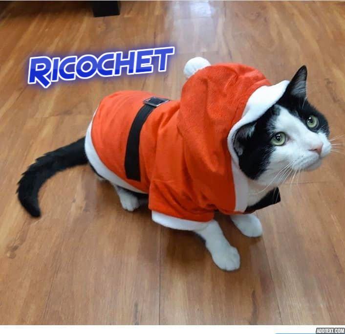 ricochet 3