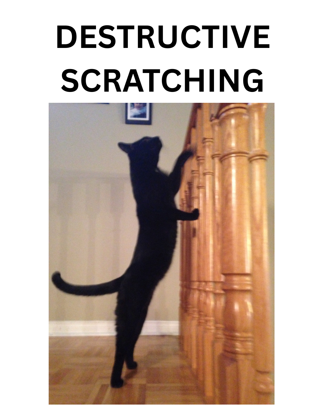 scratching1