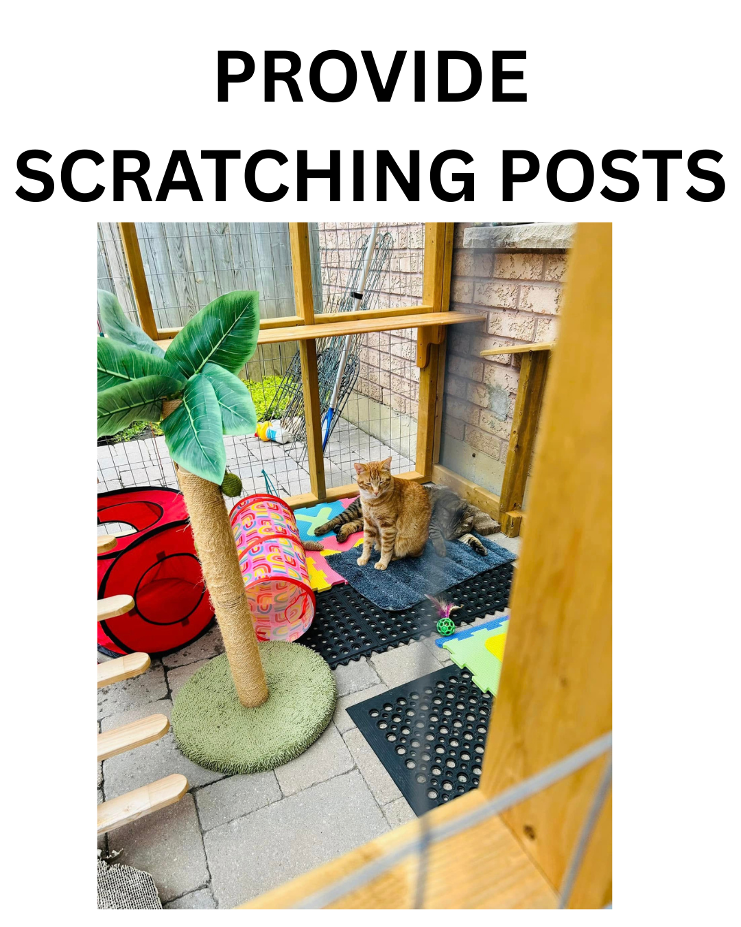 scratching3