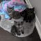 Nibbler