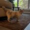 FREELOADER