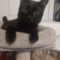 DJ Catnip