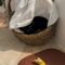 DJ Catnip