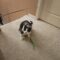 Zoey