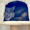 Athena
